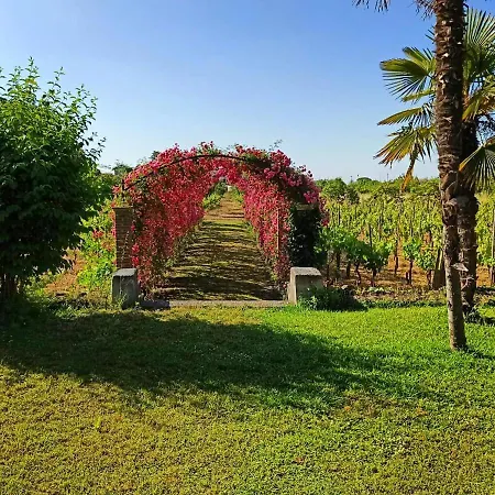 Uzeda, Doppia Con Bagno Privato 3* マスカルチーア
